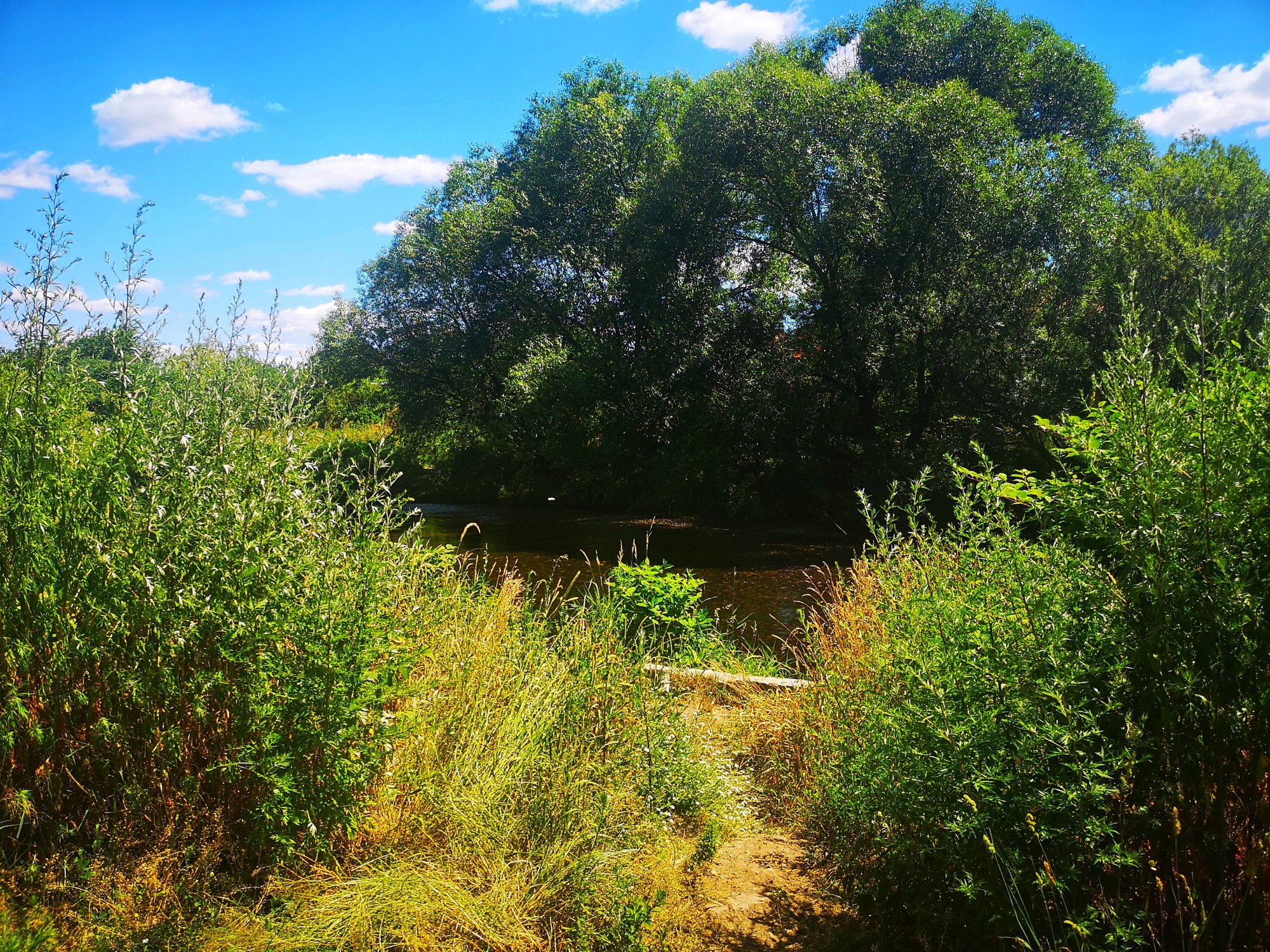 promenada-bobru-ktorego-nie-widac-82217