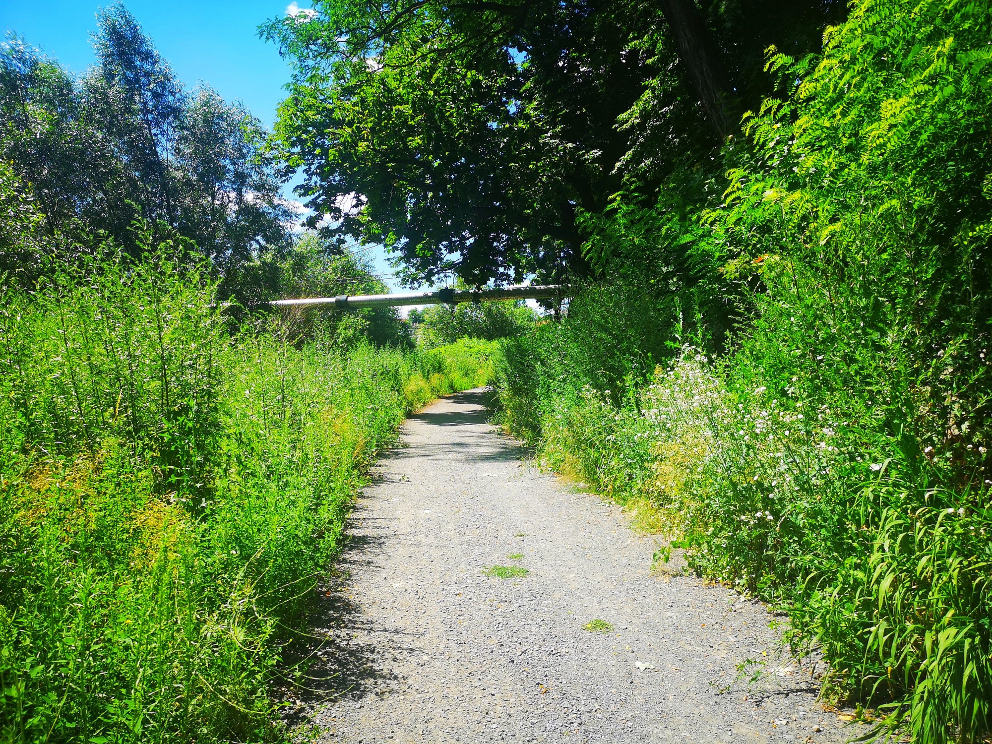 promenada-bobru-ktorego-nie-widac-82217