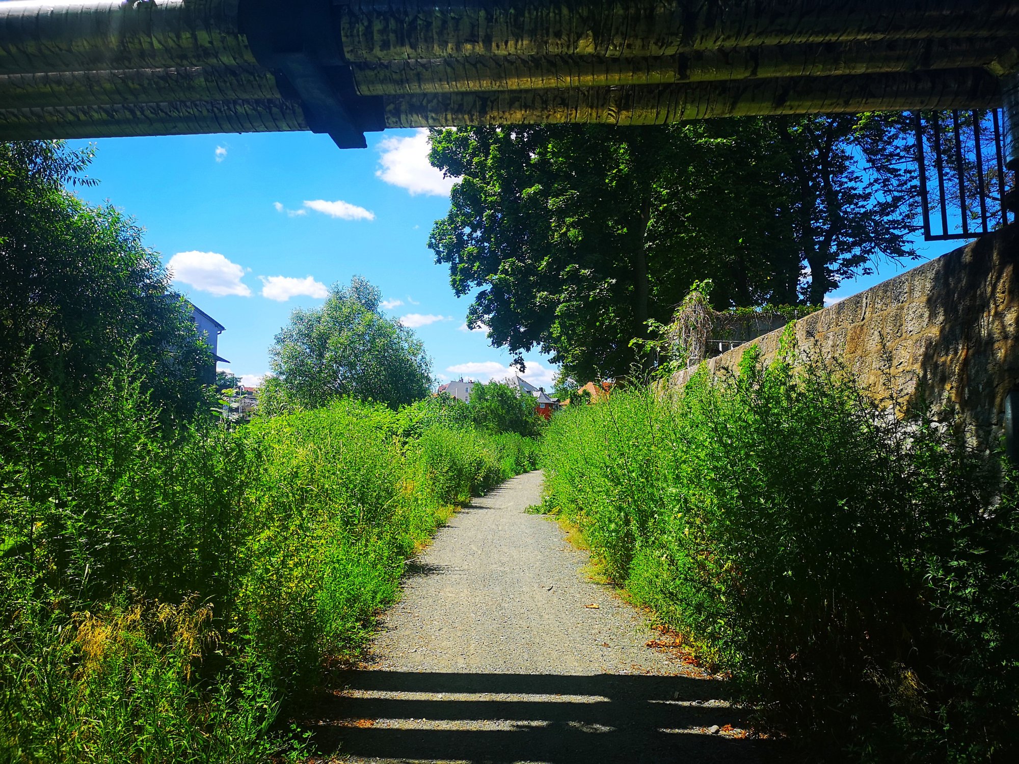 promenada-bobru-ktorego-nie-widac-82217