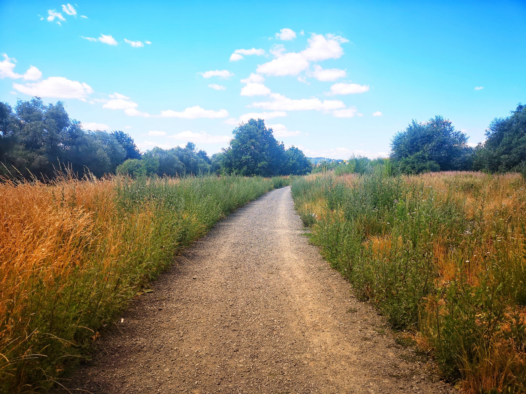 promenada-bobru-ktorego-nie-widac-82217