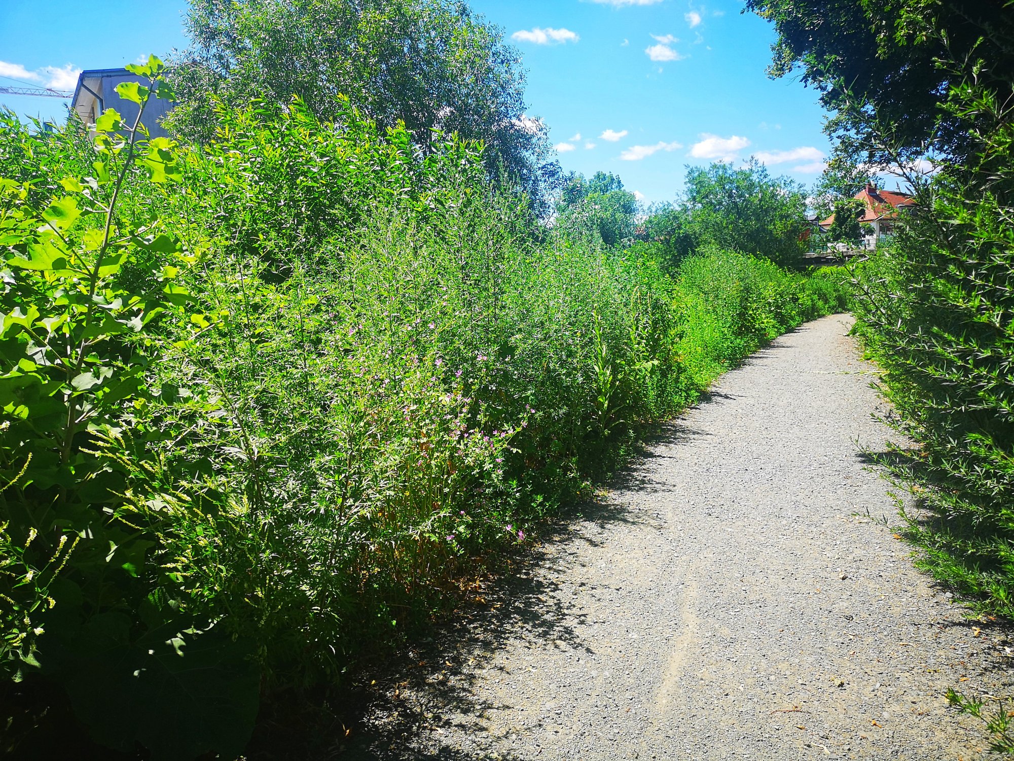 promenada-bobru-ktorego-nie-widac-82217