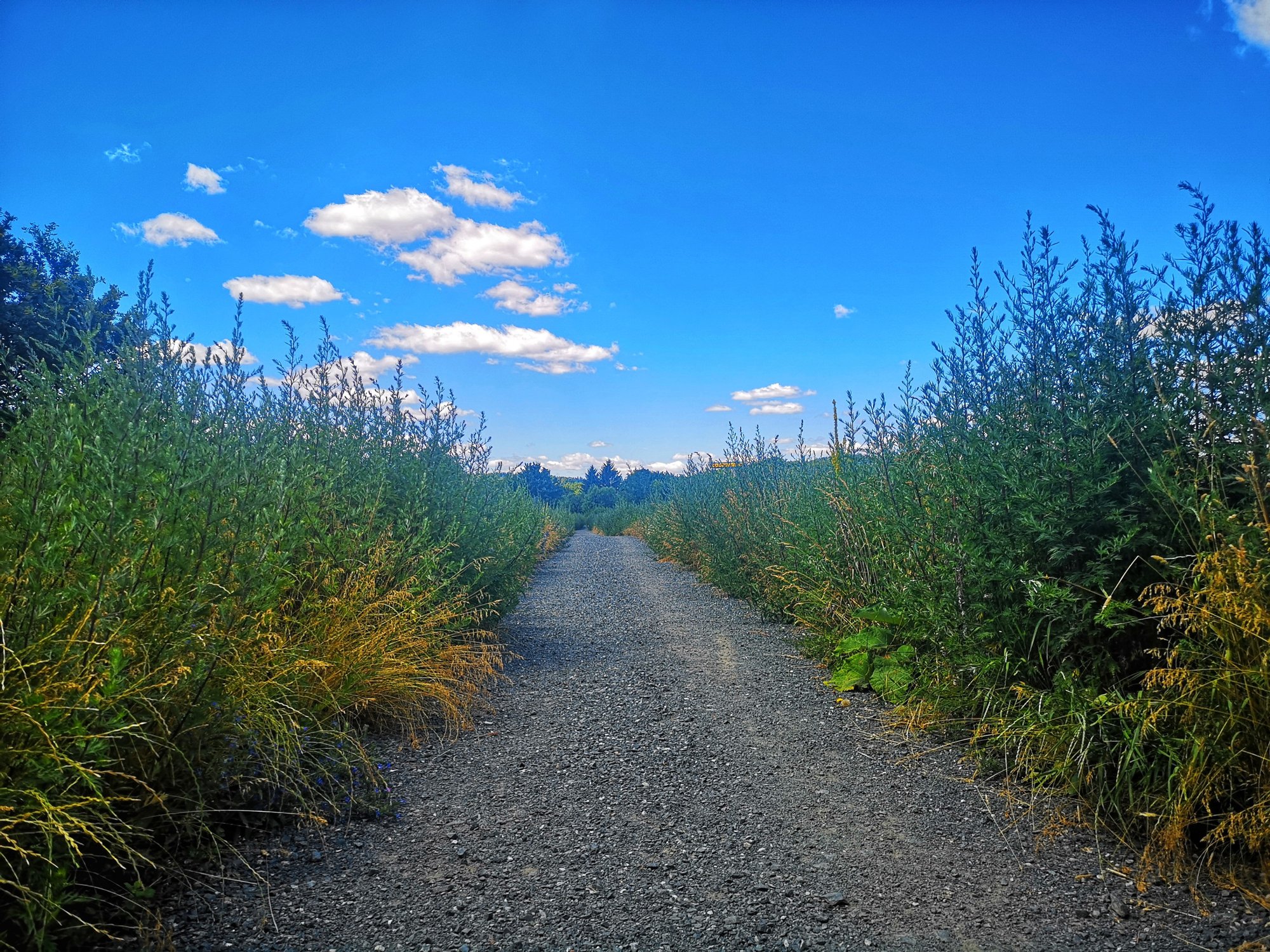 promenada-bobru-ktorego-nie-widac-82217