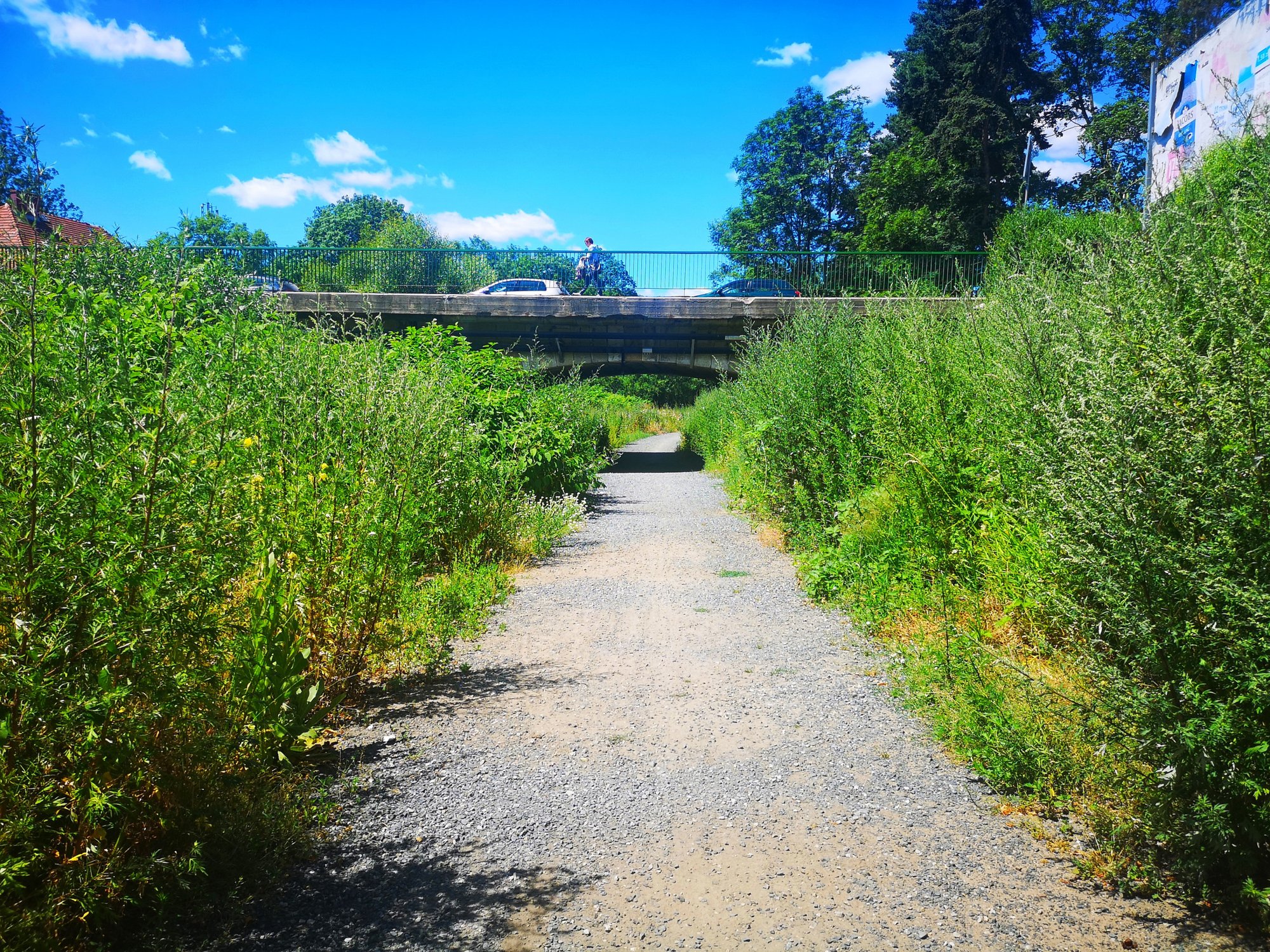 promenada-bobru-ktorego-nie-widac-82217