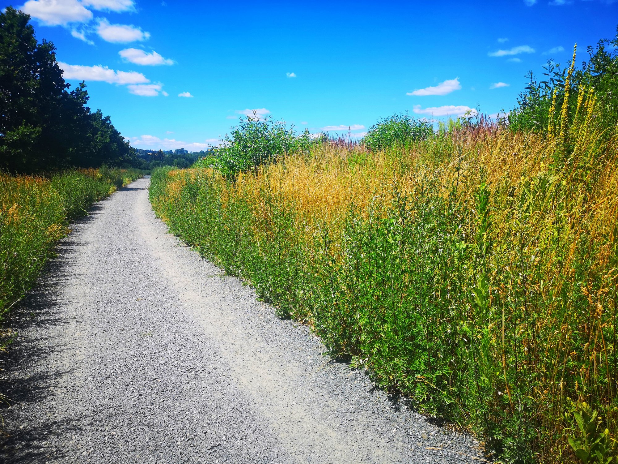 promenada-bobru-ktorego-nie-widac-82217