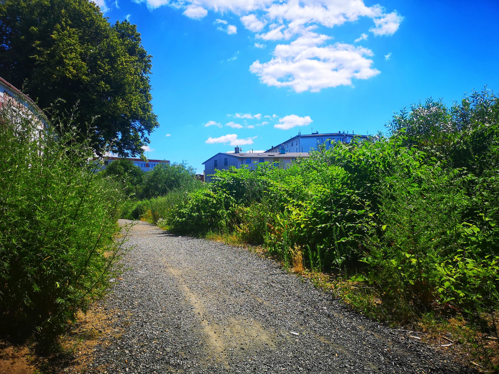 promenada-bobru-ktorego-nie-widac-82217