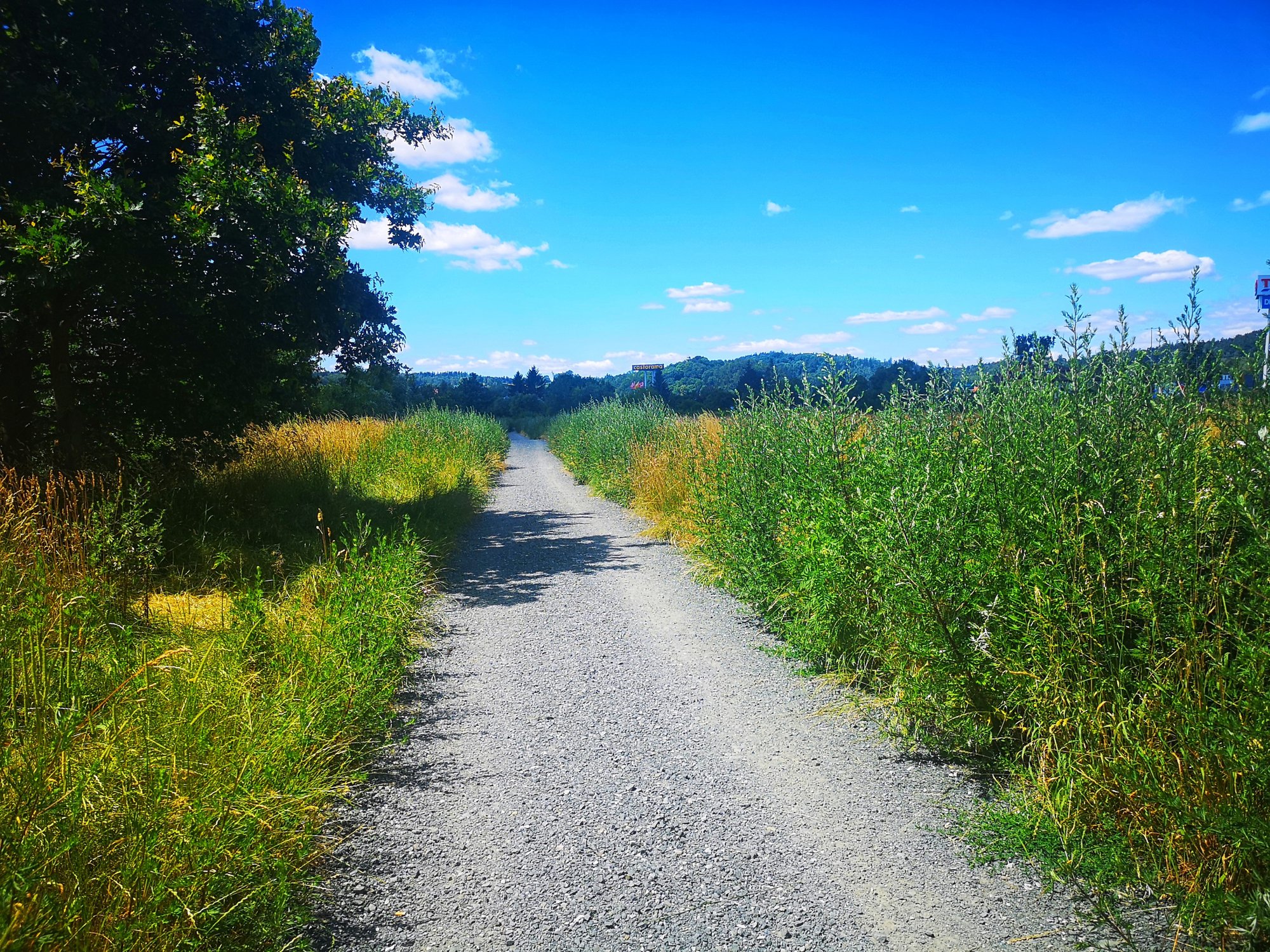 promenada-bobru-ktorego-nie-widac-82217
