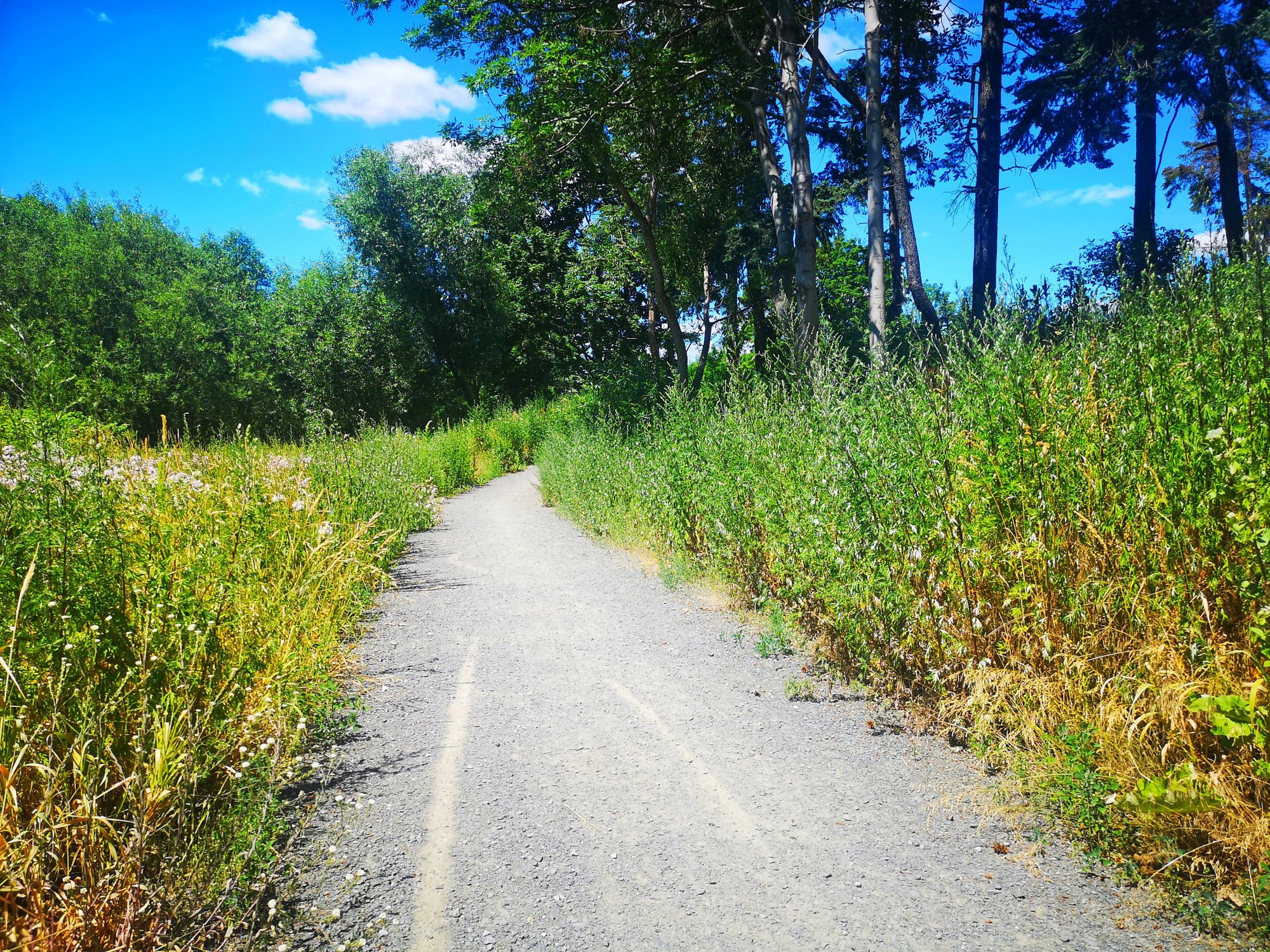 promenada-bobru-ktorego-nie-widac-82217