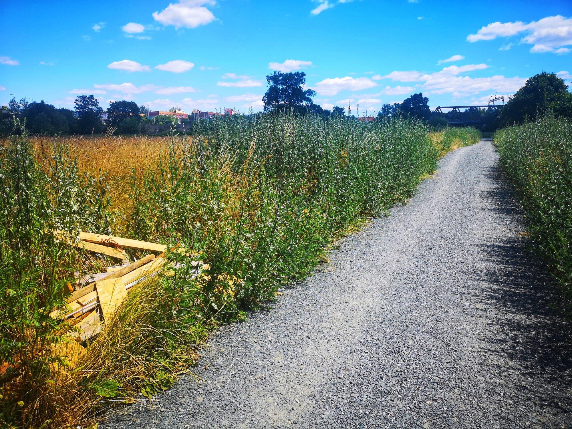 promenada-bobru-ktorego-nie-widac-82217