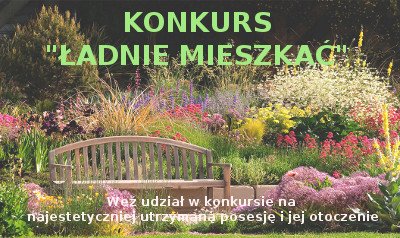 adnie-mieszkac-zgos-sie-do-konkursu-82244