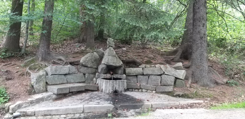na-skalnik-z-wojkowa-od-widokow-gowa-boli-82278