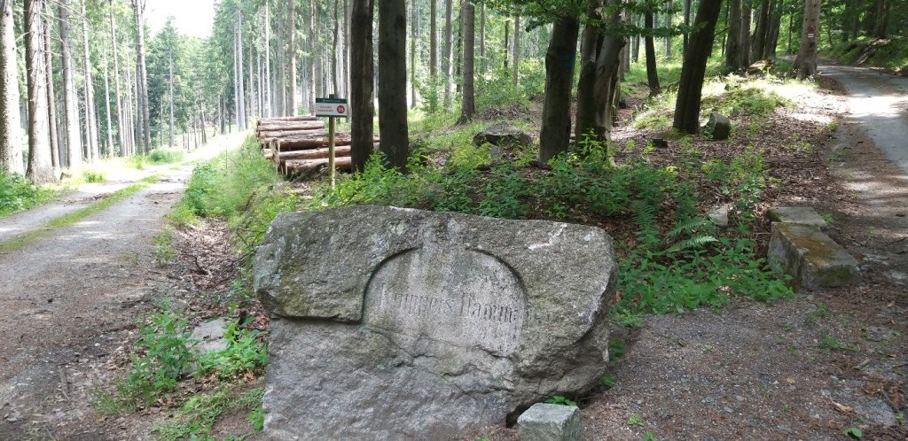 na-skalnik-z-wojkowa-od-widokow-gowa-boli-82278