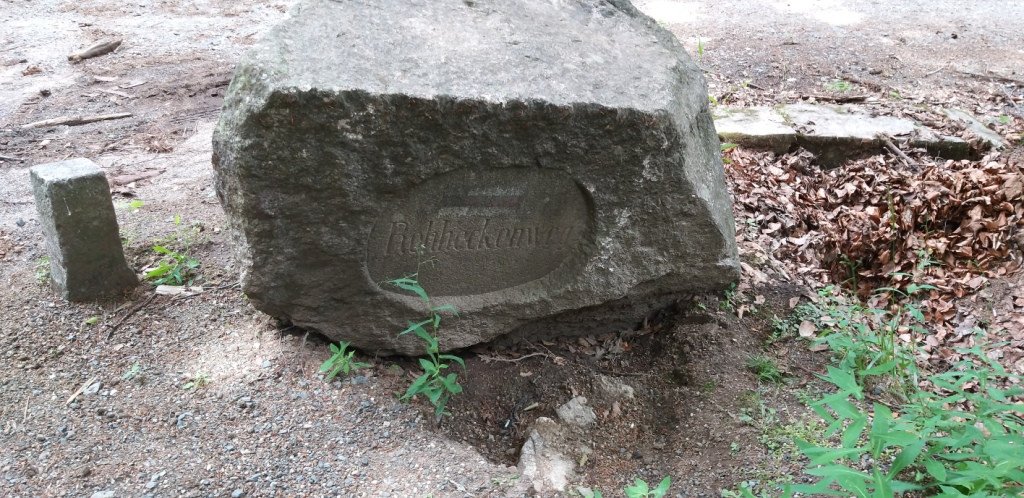 na-skalnik-z-wojkowa-od-widokow-gowa-boli-82278