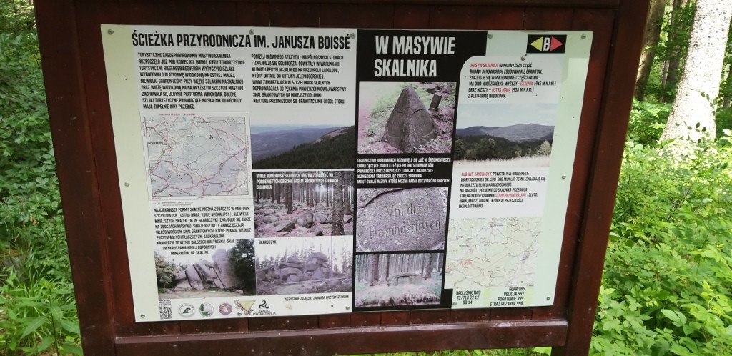 na-skalnik-z-wojkowa-od-widokow-gowa-boli-82278