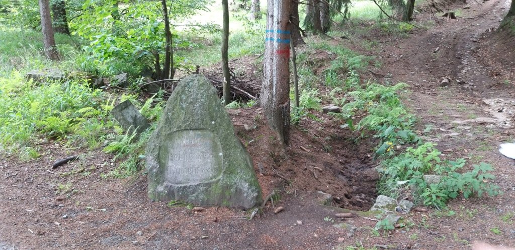 na-skalnik-z-wojkowa-od-widokow-gowa-boli-82278