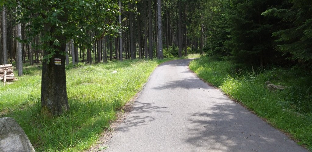 na-skalnik-z-wojkowa-od-widokow-gowa-boli-82278