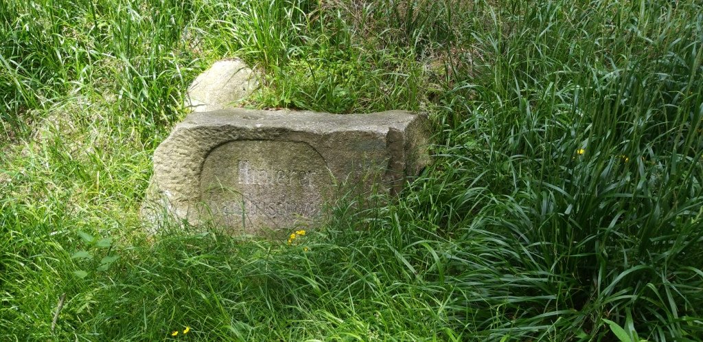na-skalnik-z-wojkowa-od-widokow-gowa-boli-82278