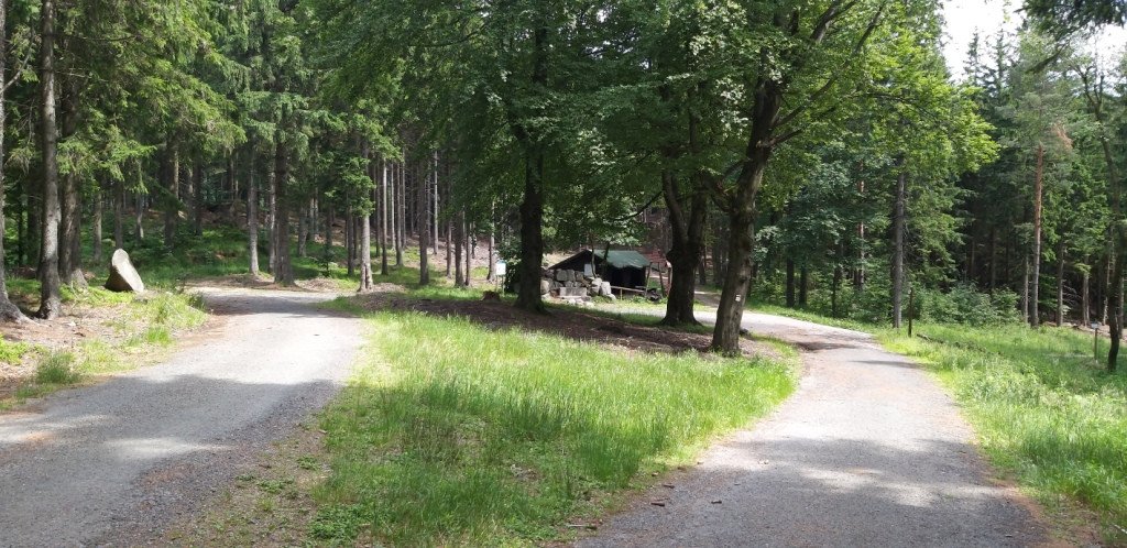 na-skalnik-z-wojkowa-od-widokow-gowa-boli-82278