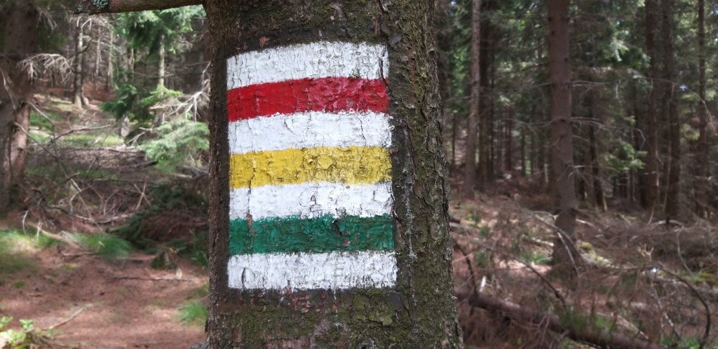 na-skalnik-z-wojkowa-od-widokow-gowa-boli-82278