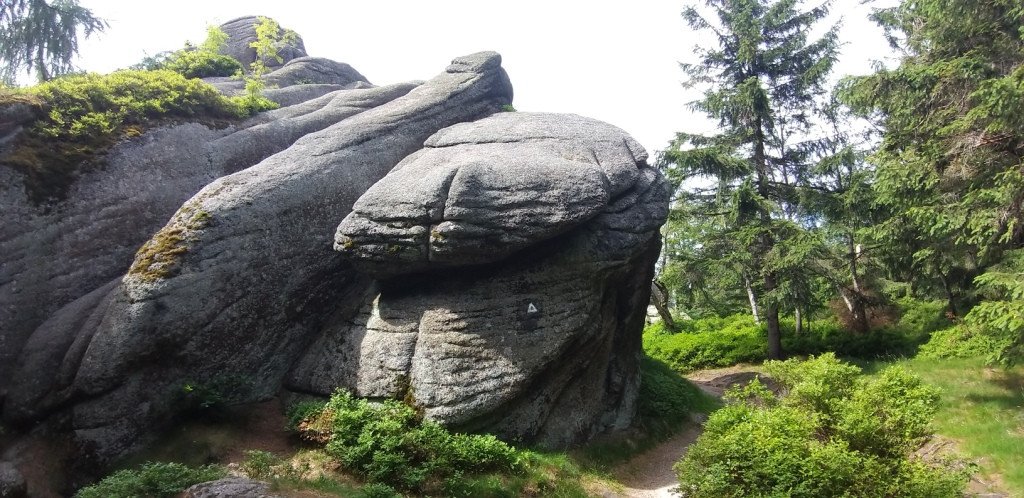 na-skalnik-z-wojkowa-od-widokow-gowa-boli-82278