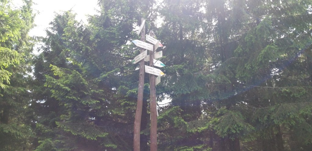 na-skalnik-z-wojkowa-od-widokow-gowa-boli-82278