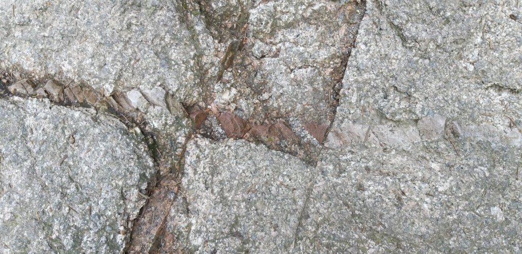 na-skalnik-z-wojkowa-od-widokow-gowa-boli-82278