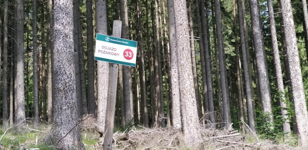 na-skalnik-z-wojkowa-od-widokow-gowa-boli-82278