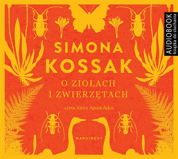 zaczytaj-sie-z-jelonkacom-82292