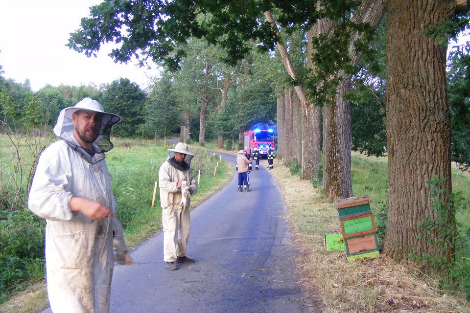 kradziez-pszczo-82324