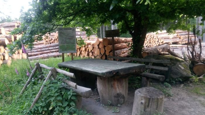 wielkie-ciecia-na-polanie-czarownic-82449