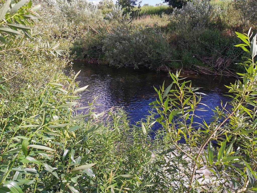 wodnik-to-bya-awaria-82474