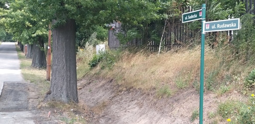 idziemy-na-rozanke-w-gorach-oowianych-82487
