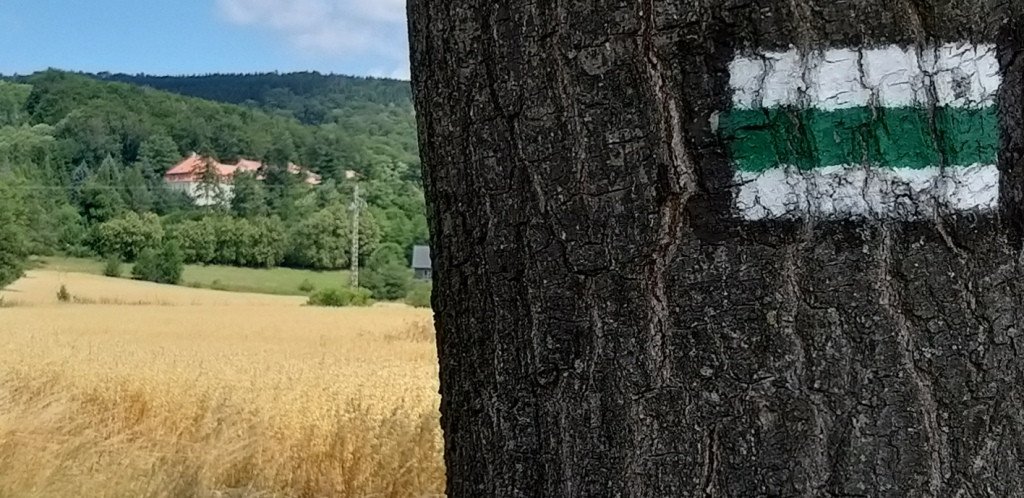 idziemy-na-rozanke-w-gorach-oowianych-82487