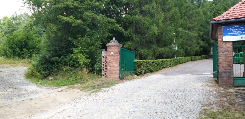 idziemy-na-rozanke-w-gorach-oowianych-82487