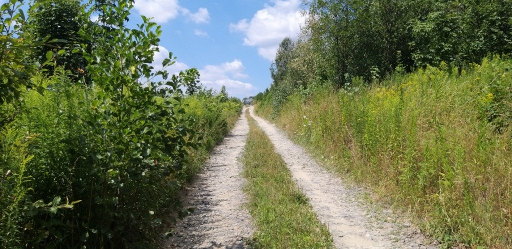 idziemy-na-rozanke-w-gorach-oowianych-82487
