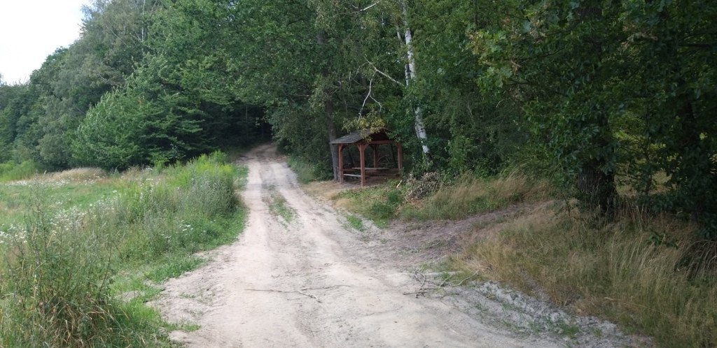 idziemy-na-rozanke-w-gorach-oowianych-82487