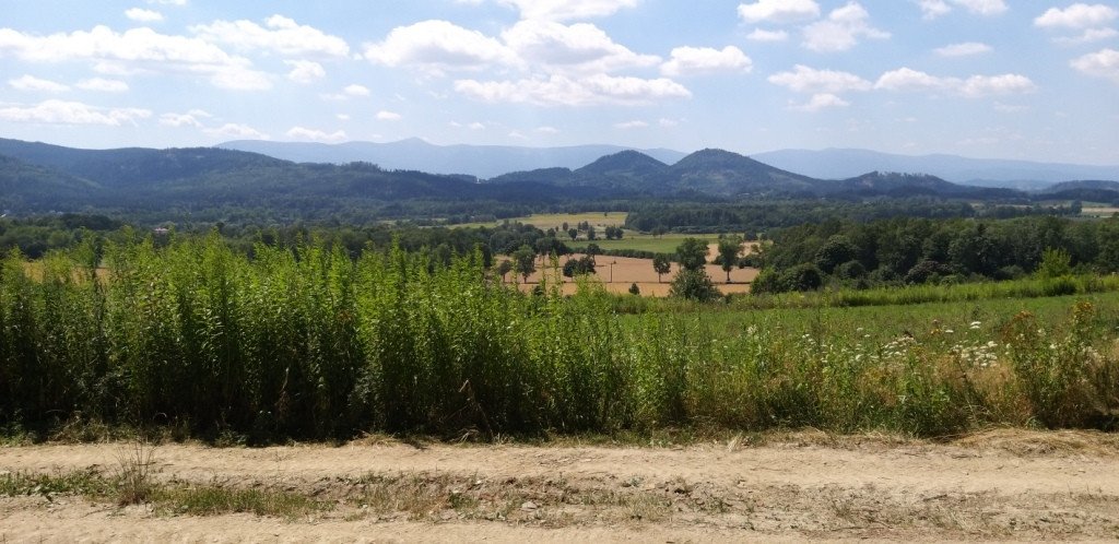 idziemy-na-rozanke-w-gorach-oowianych-82487