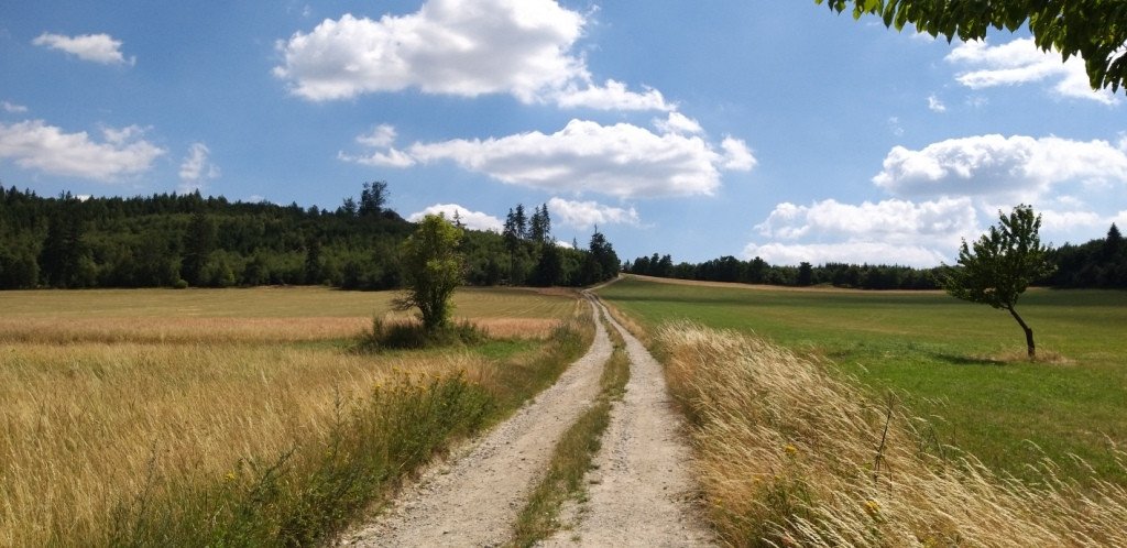 idziemy-na-rozanke-w-gorach-oowianych-82487