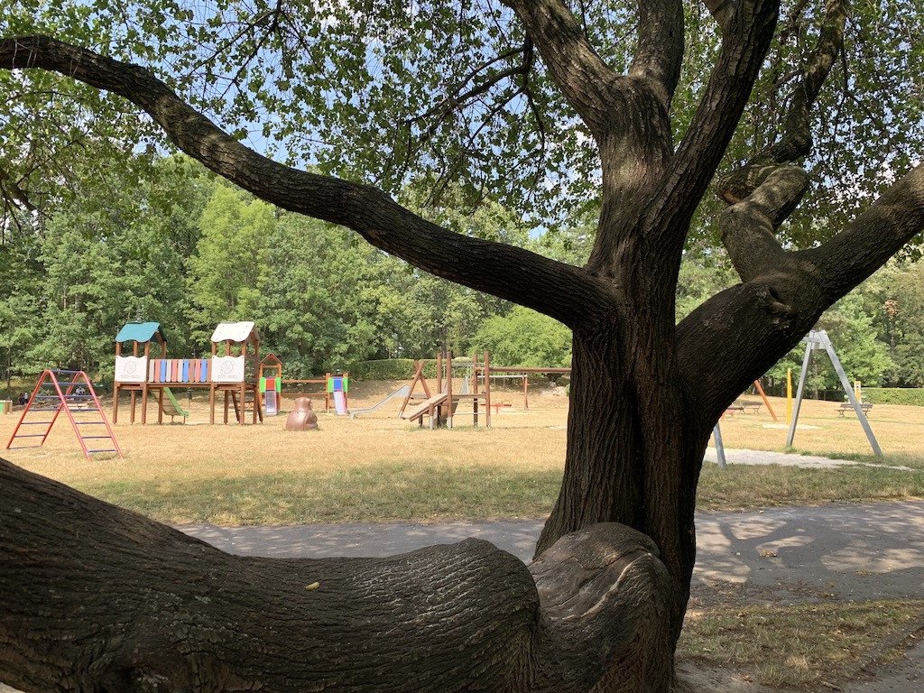 ten-park-jest-mniej-popularny-a-piekny-82534