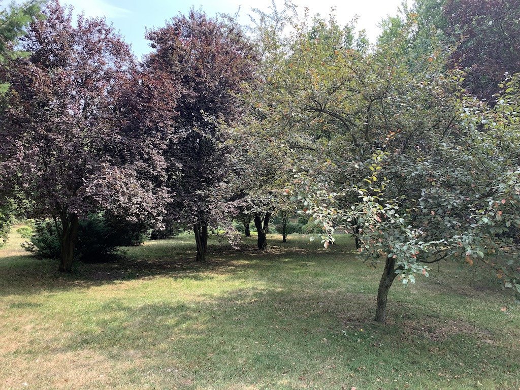 ten-park-jest-mniej-popularny-a-piekny-82534