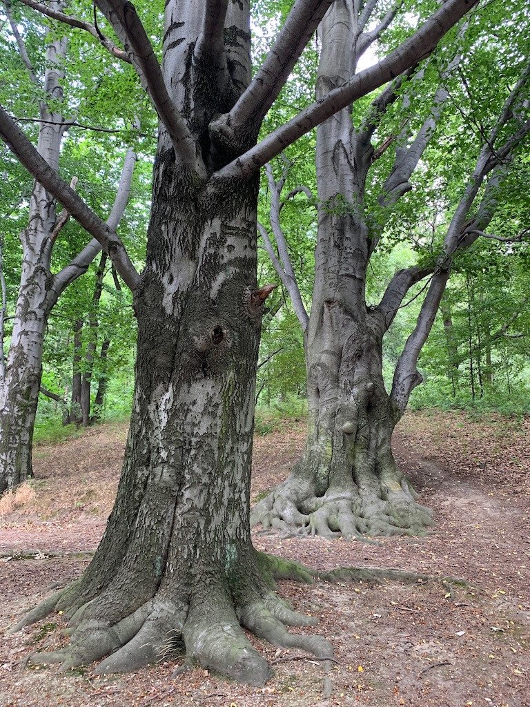 ten-park-jest-mniej-popularny-a-piekny-82534