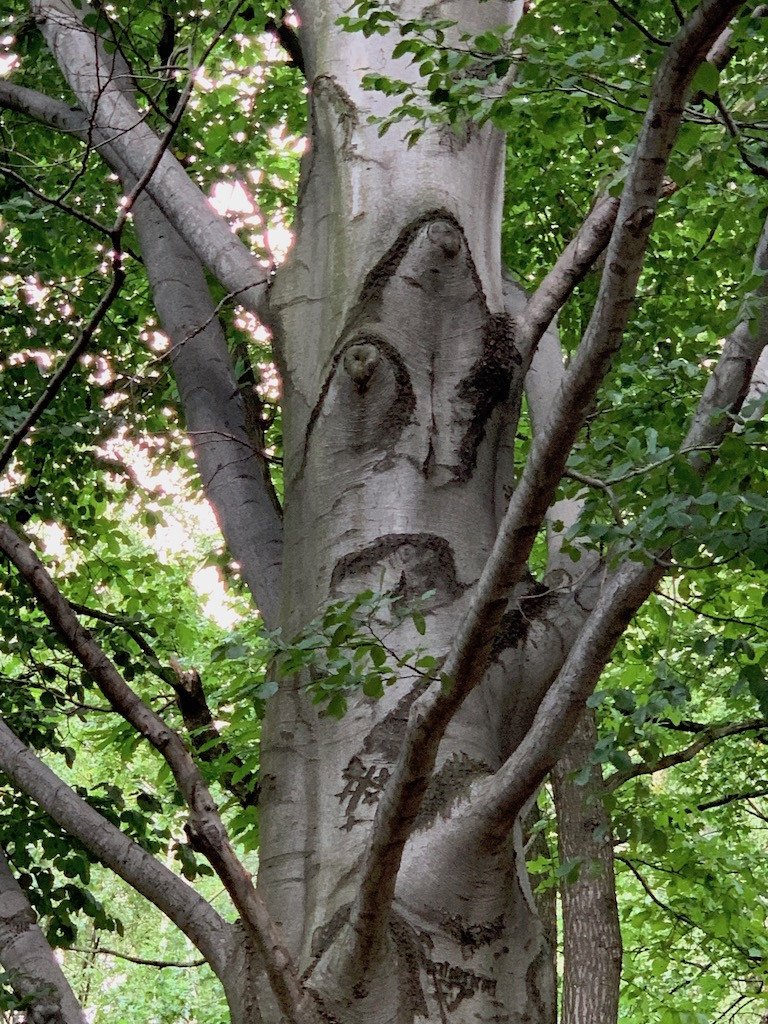 ten-park-jest-mniej-popularny-a-piekny-82534