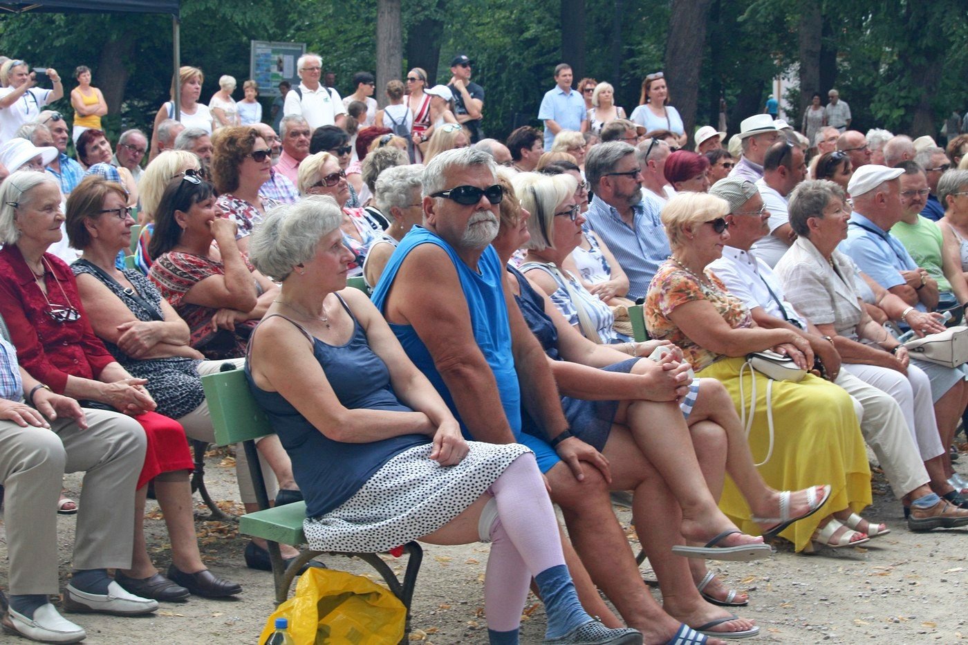 letni-powiew-jazzu-82535