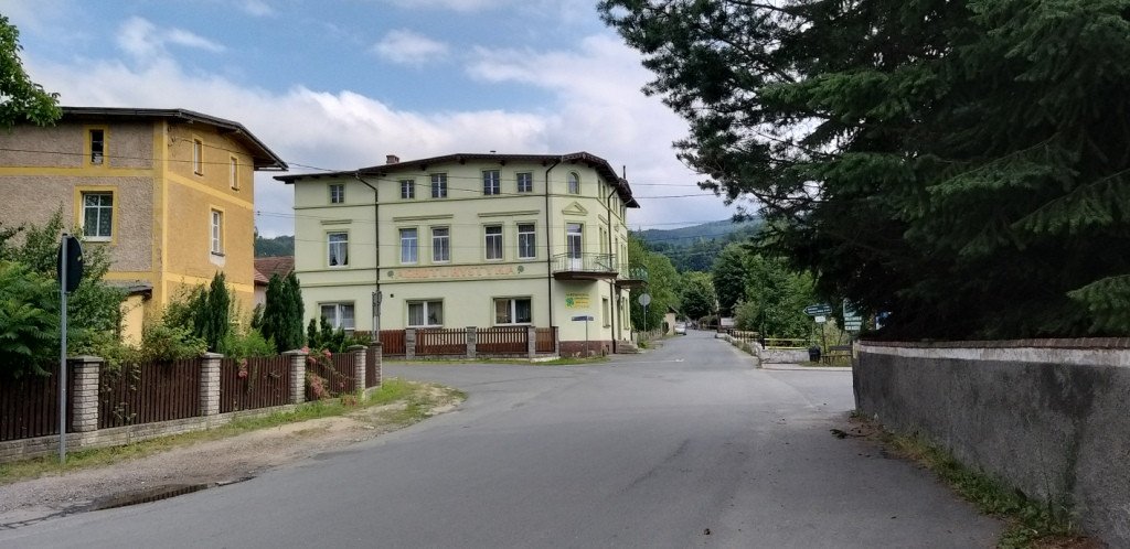 z-sosnowki-na-patelnie-przez-dobre-zrodo-82591