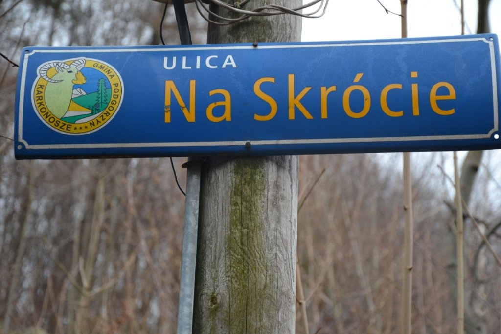 z-sosnowki-na-patelnie-przez-dobre-zrodo-82591