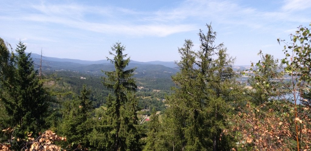 z-sosnowki-na-patelnie-przez-dobre-zrodo-82591
