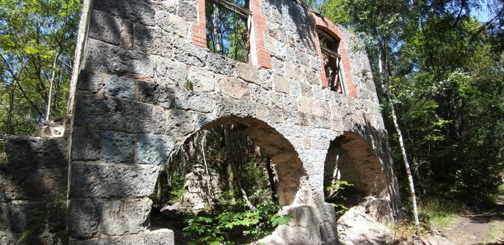 z-sosnowki-na-patelnie-przez-dobre-zrodo-82591
