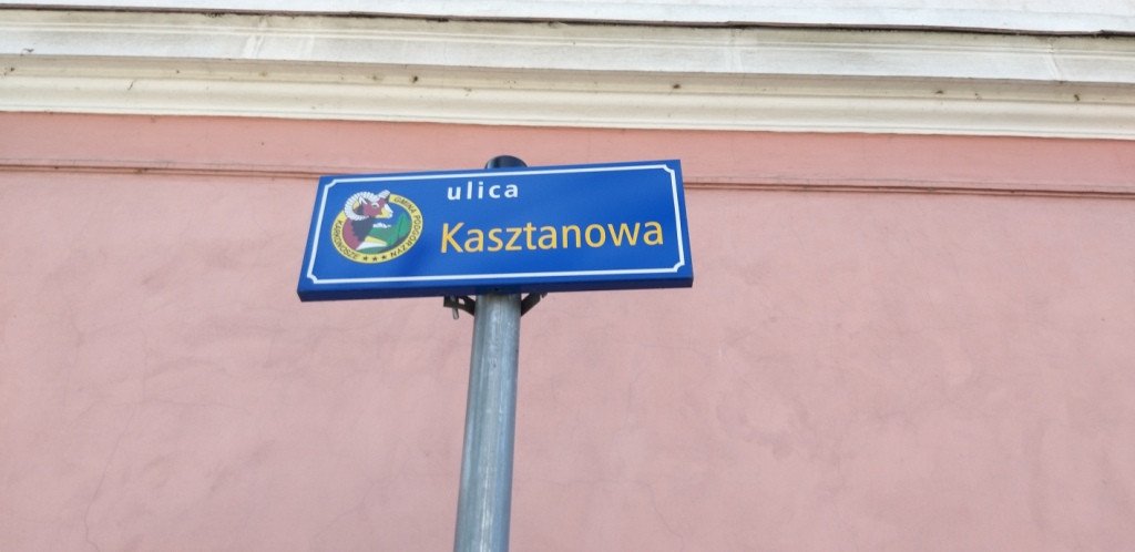 z-sosnowki-na-patelnie-przez-dobre-zrodo-82591