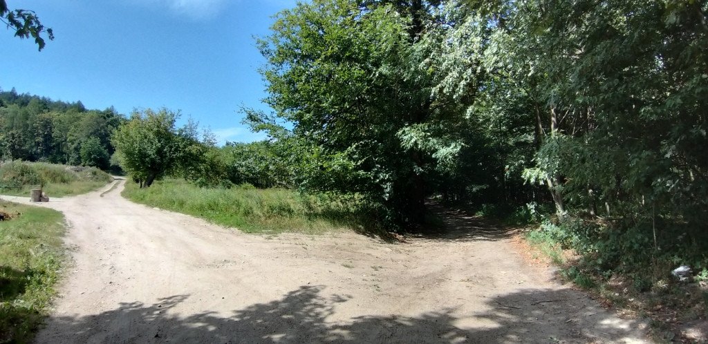 z-sosnowki-na-patelnie-przez-dobre-zrodo-82591