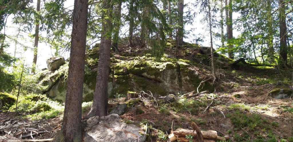 z-sosnowki-na-patelnie-przez-dobre-zrodo-82591