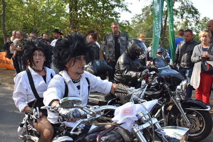 harley-to-jest-to-82638